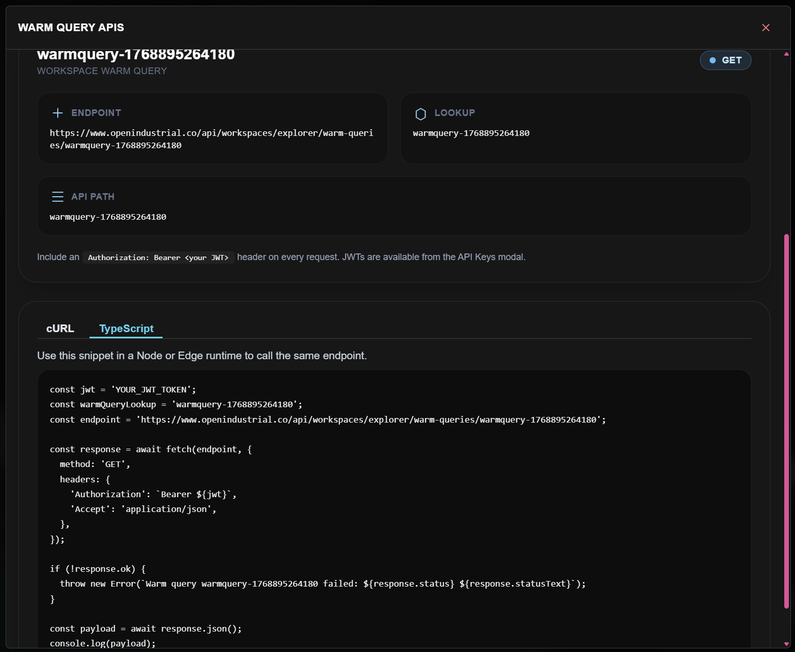 Warm Query APIs modal showing the TypeScript tab with complete fetch code including endpoint URL, Authorization Bearer header, and error handling.